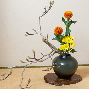 長崎で生まれた文人流